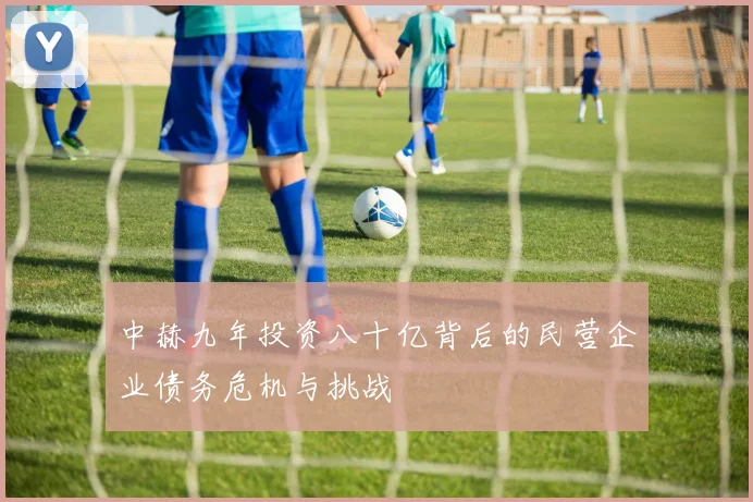 中赫九年投资八十亿背后的民营企业债务危机与挑战