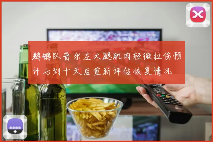 鹈鹕队普尔左大腿肌肉轻微拉伤预计七到十天后重新评估恢复情况